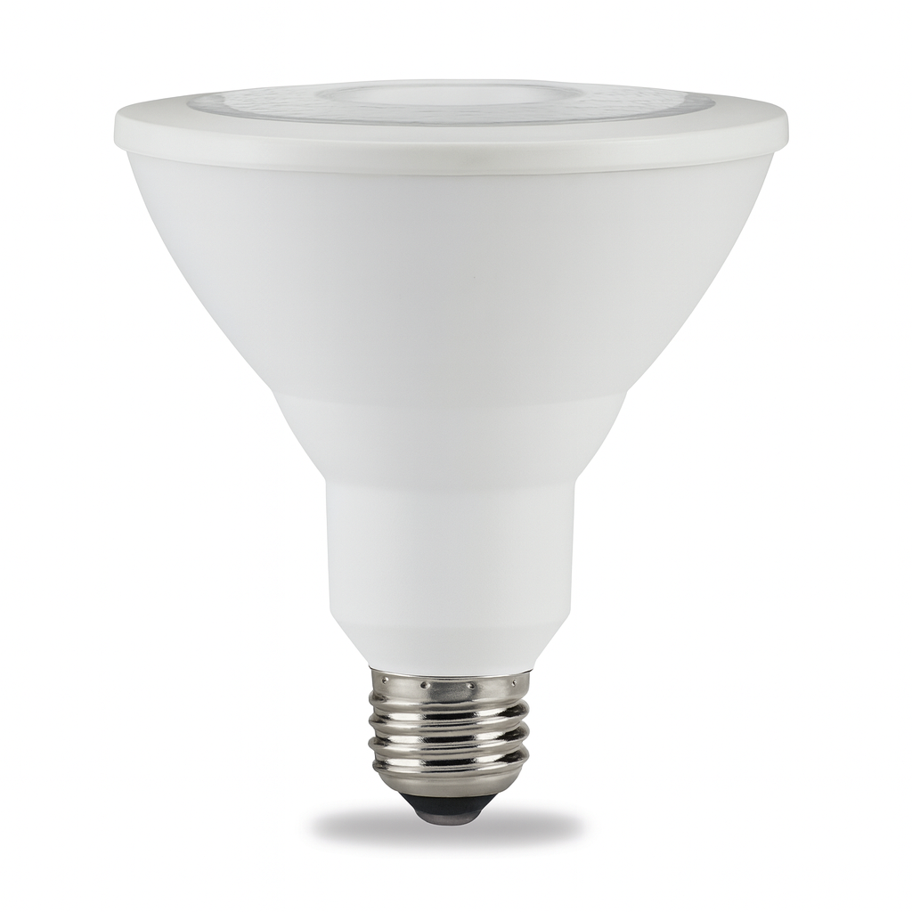 Luxrite LED PAR38 Lamp