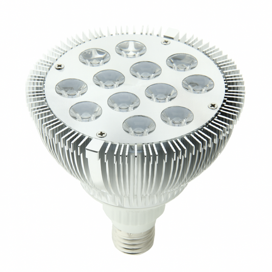 PAR38 Luna™ Series - 24W LED Spot Lamp