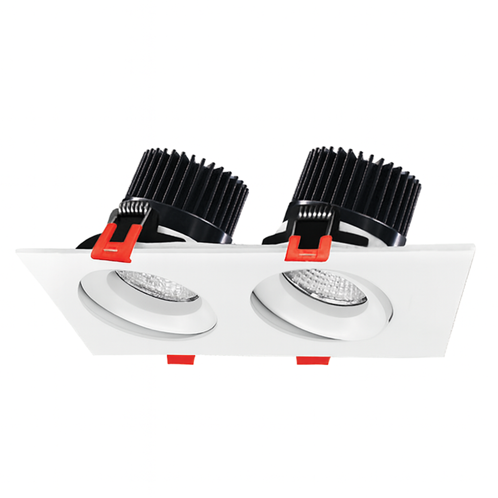 Multi Ressources Downlight Recessed Multi-Head Downlight Series – 2 Head – Diamond Brite LEDs