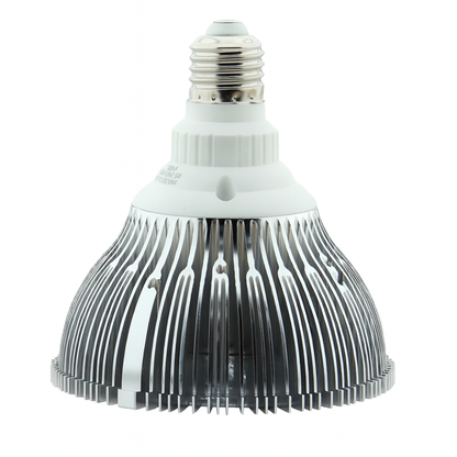 PAR38 Luna™ Series - 24W LED Spot Lamp