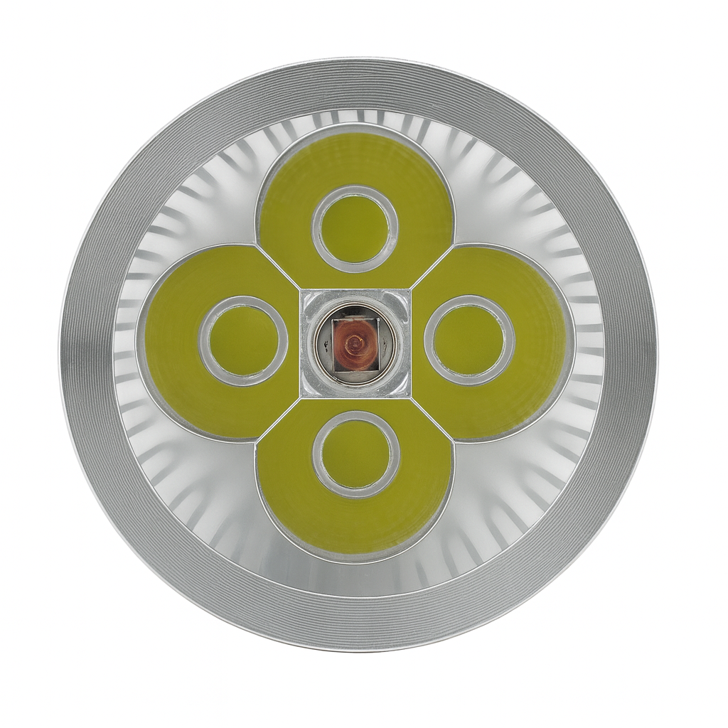 PAR16 Desoto™ Series - 4W LED Spot Lamp
